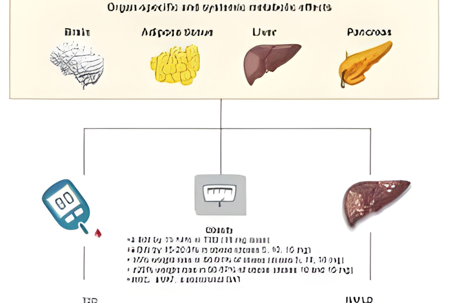 Survodutide vs Retatrutide