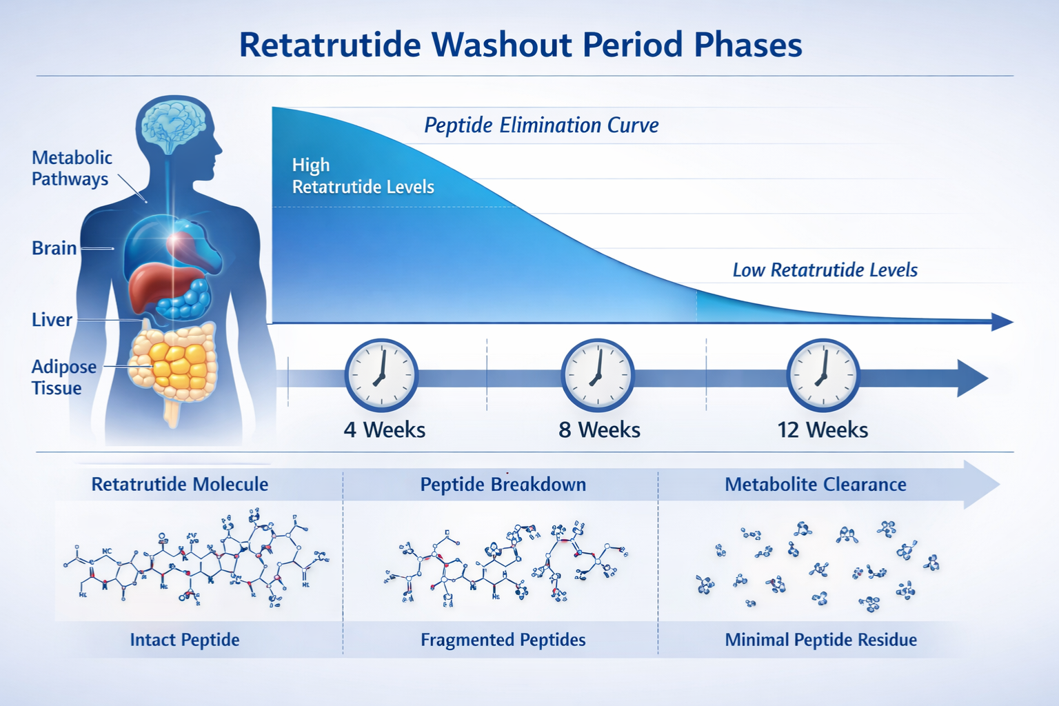 retatrutide washout period