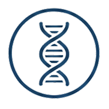 Anti-Aging & DNA Regulation