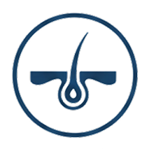 Hair Growth & Regeneration