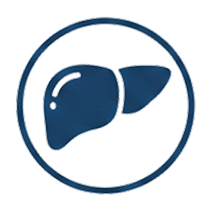 Liver & Gastrointestinal Health